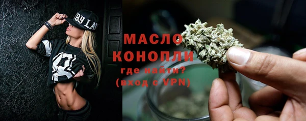гидра Богородицк