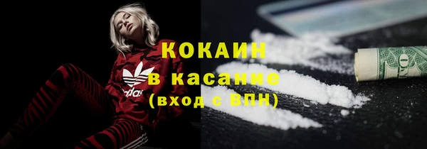 гидра Богородицк