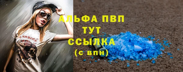 гидра Богородицк