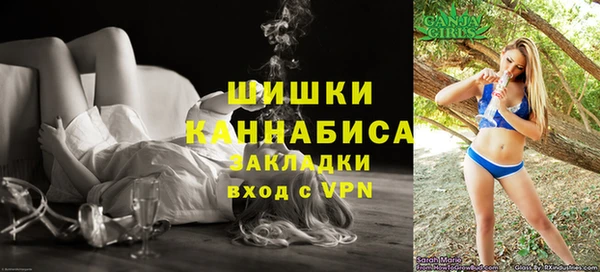 гидра Богородицк