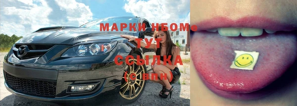 гидра Богородицк