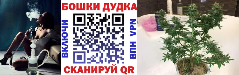 Конопля индика маркетплейс какой сайт Козельск
